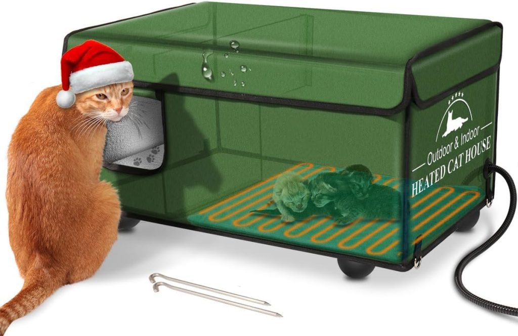 how-to-keep-outdoor-cats-warm-in-winter