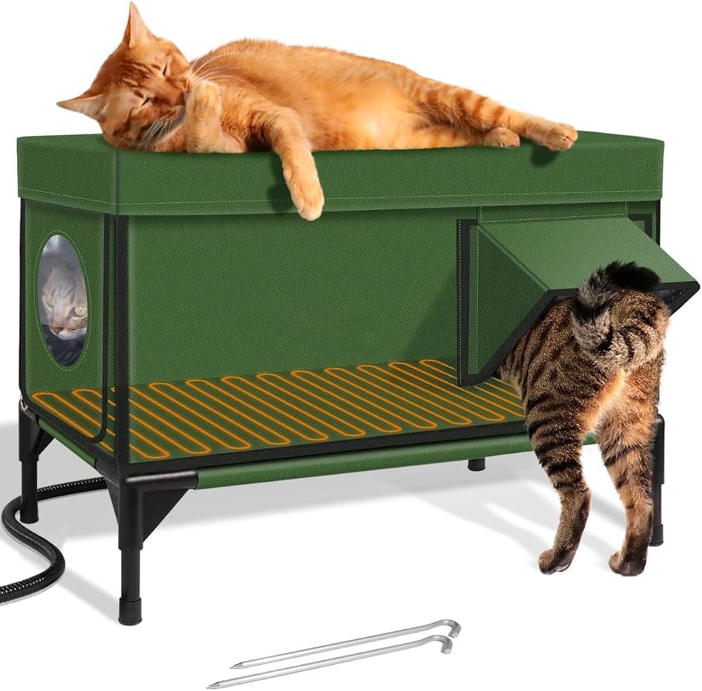 how-to-keep-outdoor-cats-warm-in-winter